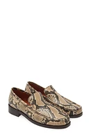 Acne Studios Snakeskin Print Loafer Beige at Nordstrom,