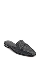 DKNY Elin Mule Black at Nordstrom,