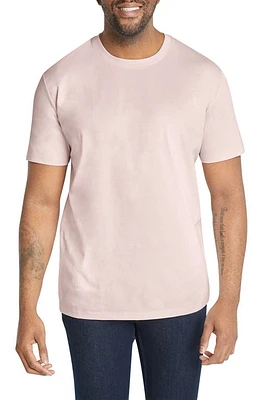 Johnny Bigg Essential Crewneck Cotton T-Shirt Seashell at Nordstrom,