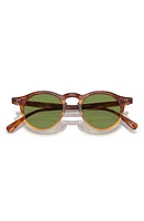 Oliver Peoples OP-13 47mm Round Sunglasses in Amber at Nordstrom