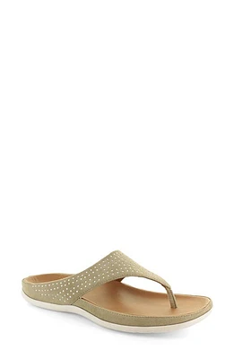 STRIVE Ibiza Thong Sandal in Stone at Nordstrom, Size 6