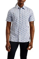 Ted Baker London Pearsho Slim Fit Print Short Sleeve Stretch Cotton Button-Up Shirt at Nordstrom,