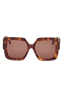 Max Mara Ernest 56mm Square Sunglasses in Dark Havana /Brown at Nordstrom