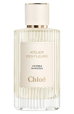 Chloé Atelier des Fleurs Herba Mimosa Eau de Parfum at Nordstrom