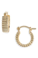 Set & Stones Jules Ridge Hoop Earrings in Gold at Nordstrom