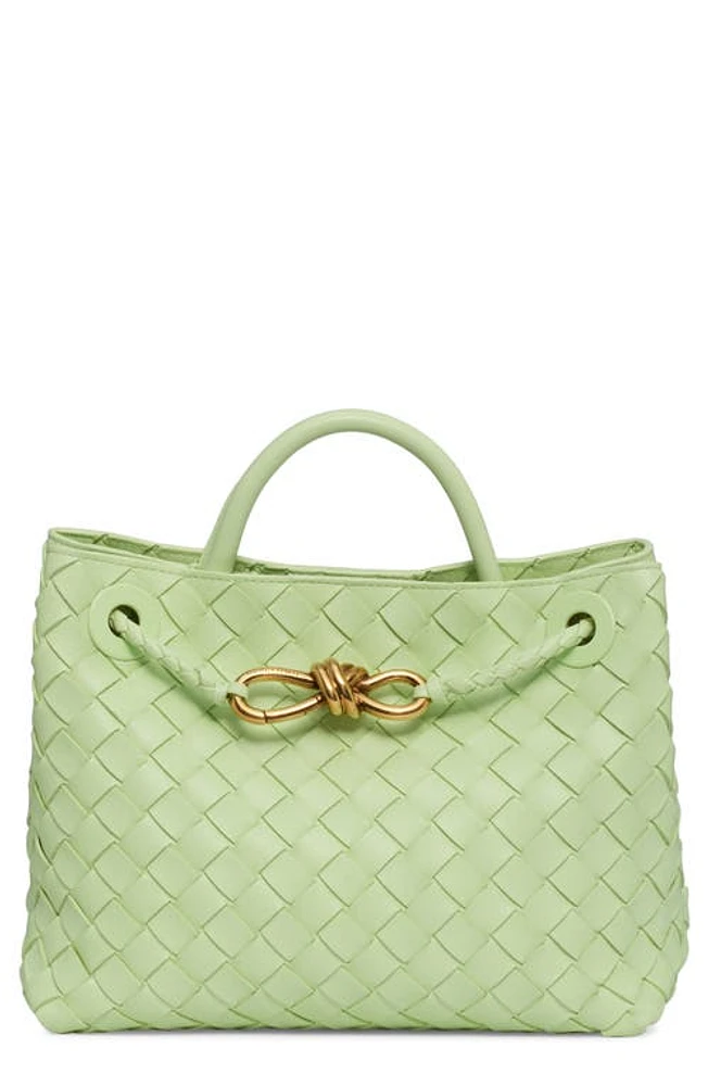 Bottega Veneta Small Andiamo Intrecciato Leather Shoulder Bag in 3584 Fennel-M Brass-Fenn at Nordstrom