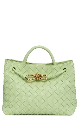 Bottega Veneta Small Andiamo Intrecciato Leather Shoulder Bag in 3584 Fennel-M Brass-Fenn at Nordstrom