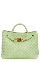 Bottega Veneta Small Andiamo Intrecciato Leather Shoulder Bag in 3584 Fennel-M Brass-Fenn at Nordstrom