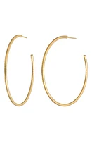 Bony Levy 14K Gold Thin Hoop Earrings in 14K Yellow Gold at Nordstrom