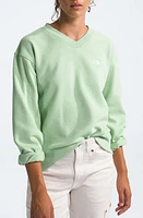 The North Face Evolution V-Neck Sweatshirt Misty Sage at Nordstrom,