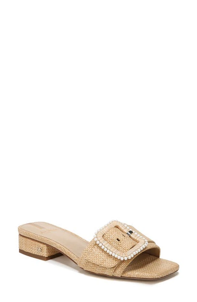 Sam Edelman Deacon Raffia Sandal at Nordstrom,