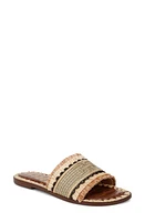 Sam Edelman Georgia Slide Sandal Multi at Nordstrom,