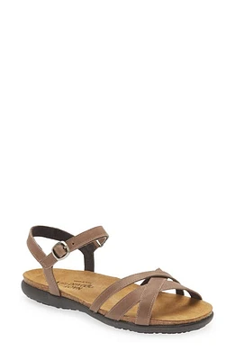 Naot Patricia Sandal in Oily Bark Nubuck at Nordstrom, Size 9Us