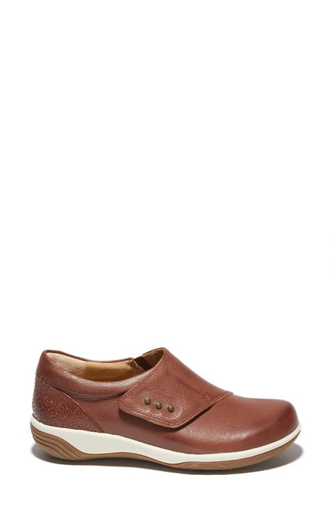 Hälsa Footwear Anna Sneaker Dark Brown/Light at Nordstrom,