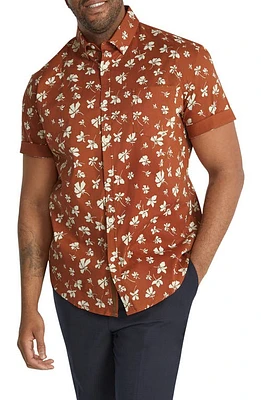 Johnny Bigg Tyler Floral Stretch Short Sleeve Button-Down Shirt Rust at Nordstrom,