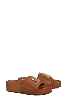 Tory Burch Patos Platform Slide Sandal in Burnt Cuoio at Nordstrom, Size 9.5