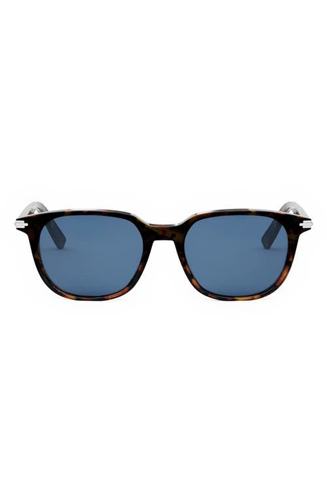 'DiorBlackSuit S12I 52mm Oval Sunglasses in Havana/Other /Blue at Nordstrom