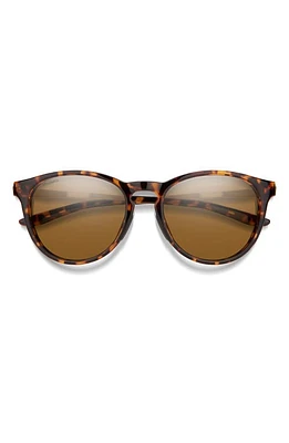 Smith Wander 55mm ChromaPop Polarized Round Sunglasses in Tortoise /Brown at Nordstrom