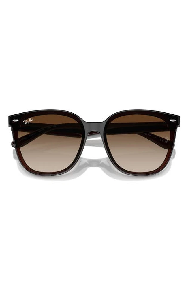 Ray-Ban 66mm Gradient Oversize Irregular Sunglasses in Transparent Black at Nordstrom