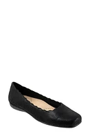 Trotters Sabine Flat Black Mini Dot at Nordstrom,