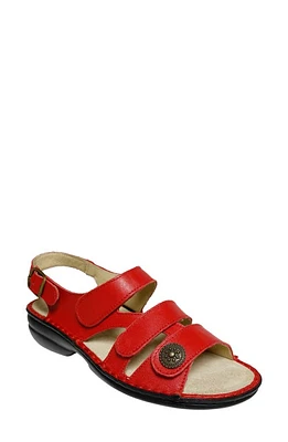 David Tate Wrap Slingback Sandal at Nordstrom,