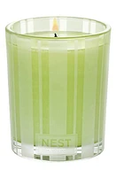 NEST New York Lime Zest & Matcha Candle in Votive at Nordstrom