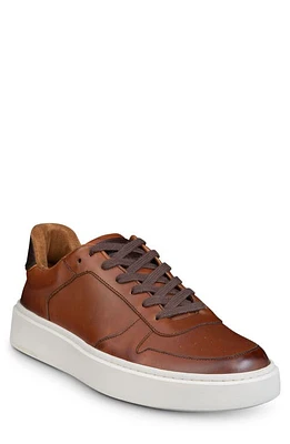 Allen Edmonds Owen Sneaker Chili at Nordstrom,