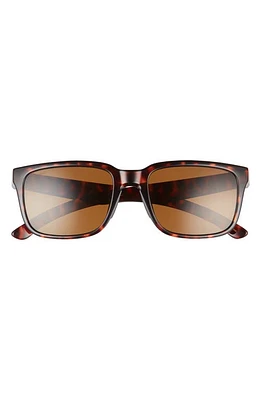 Smith Headliner 55mm Rectangle Sunglasses in Tortoise/Polarized Brown at Nordstrom