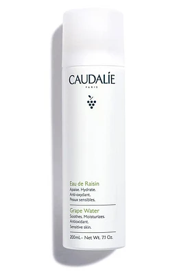 CAUDALÍE Grape Water Face Mist at Nordstrom, Size 6.7 Oz