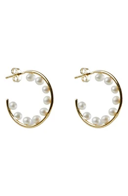 Argento Vivo Sterling Silver Imitation Pearl Hoop Earrings in Gold at Nordstrom