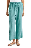 Splendid Dawson Linen Blend Drawstring Pants at Nordstrom,