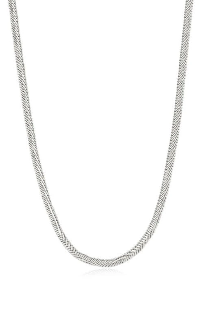 Luv AJ The Arezou Snake Chain Collar Necklace in Silver at Nordstrom