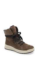 ara Albany Water Repellent Wool Lined Bootie in Taiga at Nordstrom, Size 6