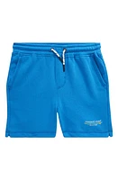 vineyard vines Kids' Shorts at