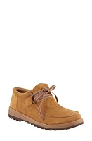 David Tate Mojo Sneaker at Nordstrom,