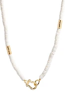 Brook and York Capri Beaded Shell Necklace in Gold/ at Nordstrom