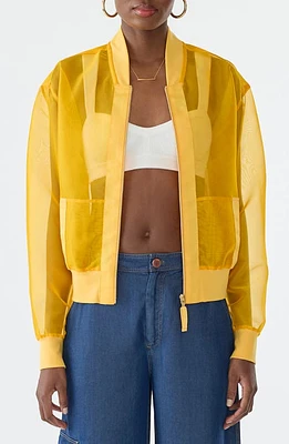 GSTQ Sheer Bomber Jacket Saffron at Nordstrom,