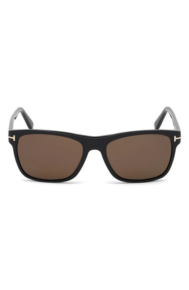 TOM FORD Giulio 57mm Geometric Sunglasses in Shiny Black /Brown at Nordstrom