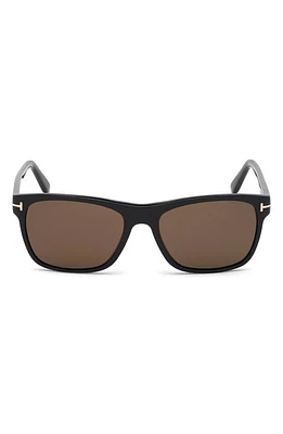 TOM FORD Giulio 57mm Geometric Sunglasses in Shiny Black /Brown at Nordstrom