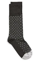 EDWARD ARMAH Polka Dot Pima Cotton Blend Dress Socks in Charcoal at Nordstrom