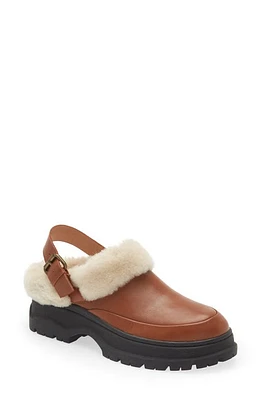 Madewell Tilly Faux Shearling Clog Dried Maple at Nordstrom,