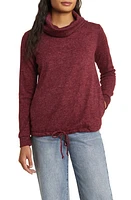 Loveappella Cowl Neck Knit Top Burgundy at Nordstrom,