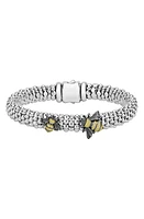 LAGOS Rare Wonders - Honeybee Caviar Beaded Bracelet in Silver/Gold at Nordstrom