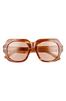 Pared 51.5mm Square Sunglasses in Havana Solid Amber Lenses at Nordstrom