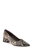 Franco Sarto Racer Pointed Toe Pump at Nordstrom