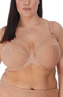 Elomi Charley Full Figure Underwire Convertible Plunge Bra at Nordstrom,