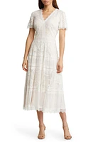 Tadashi Shoji Lace & Mesh Midi Cocktail Dress at Nordstrom,