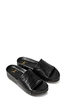 Beek Pelican Slide Sandal at Nordstrom,