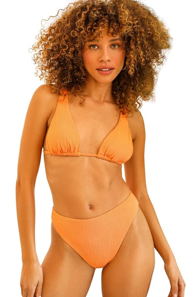 Dippin Daisys Seashore High Waist Cheeky Bikini Bottom Reef at Nordstrom,