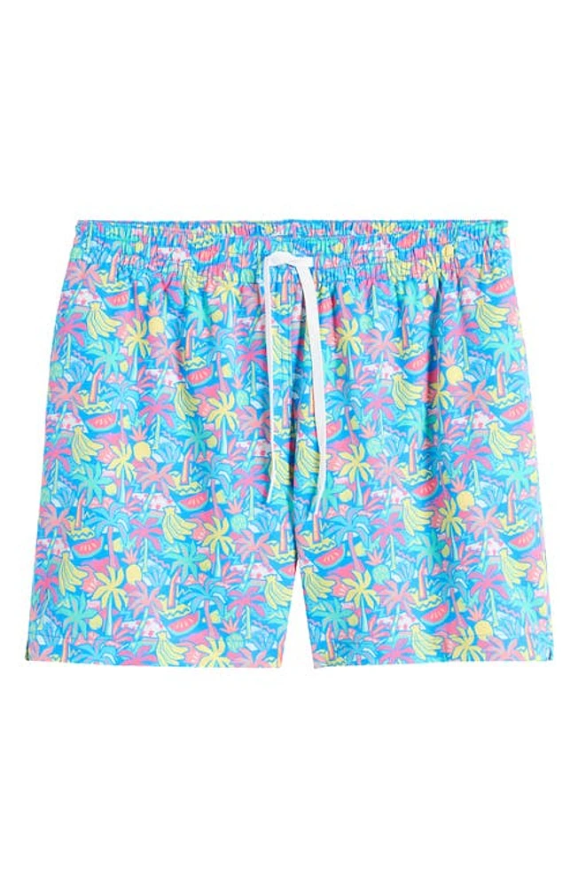 Chubbies Classic Lined 5.5-Inch Swim Trunks Bright Blue Tropical at Nordstrom,